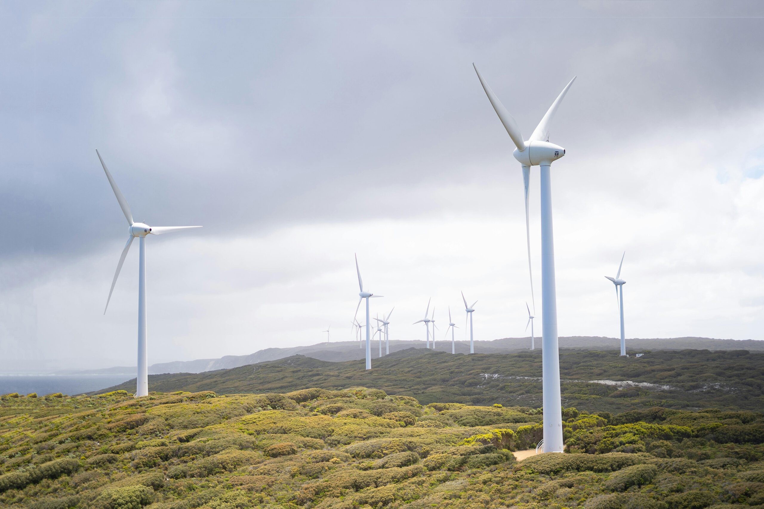 Wind Farm on Scottish Hills 